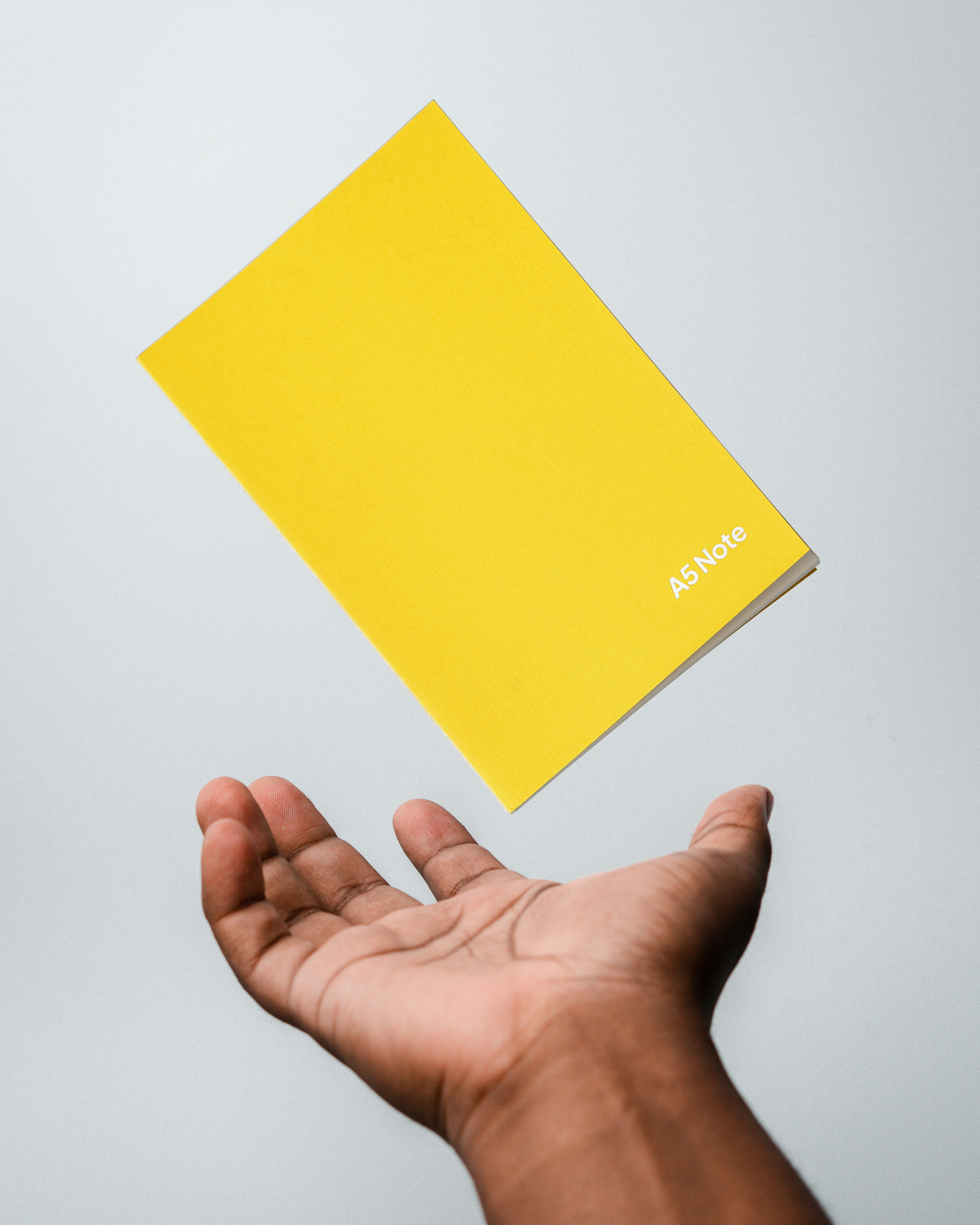 Interpol Yellow Notice